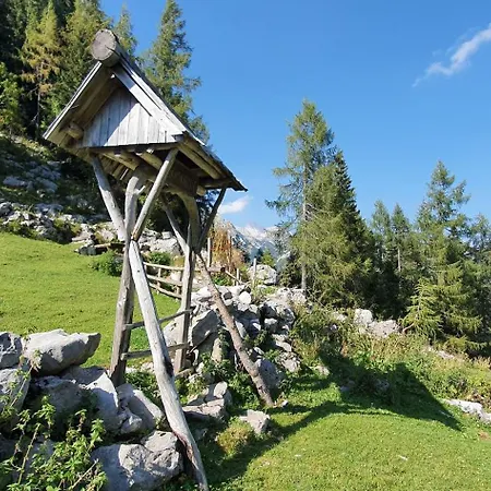 Exclusive Alps App